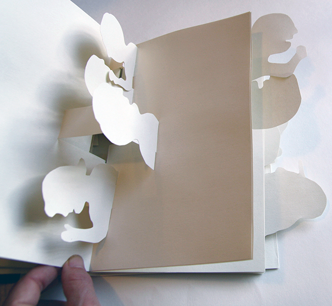 Pop Up Book